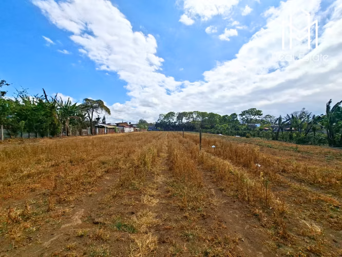 Venta Terreno San Miguel De Santo Domingo Heredia