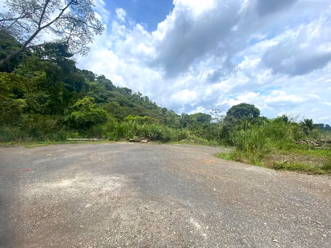 FARM FOR SALE, ALAJUELA, GRECIA