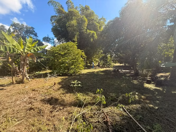 Lote increíble cerca del centro