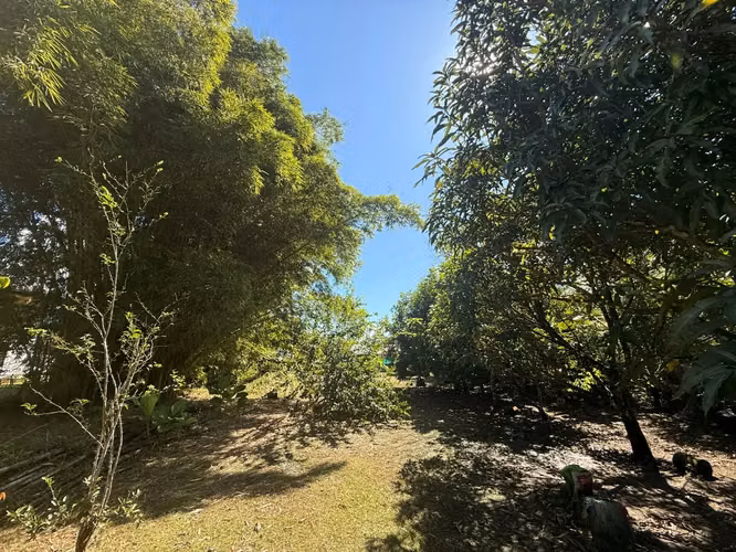 Lote increíble cerca del centro