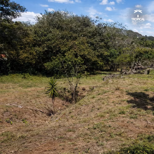 Garita Alejuela 3.7 hectareas a $24m2