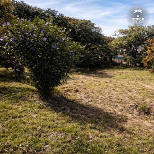 Garita Alejuela 3.7 hectareas a $24m2