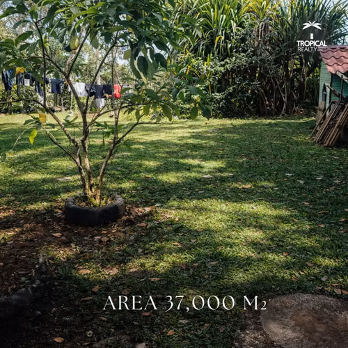 Garita Alejuela 3.7 hectareas a $24m2
