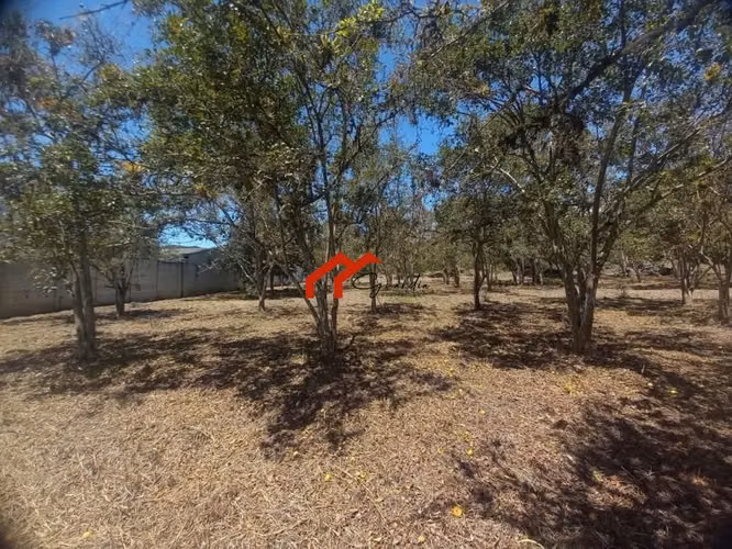 Venta de Quinta en Ajenjal, precio rebajado Paraíso, Cartago - Imagen 4