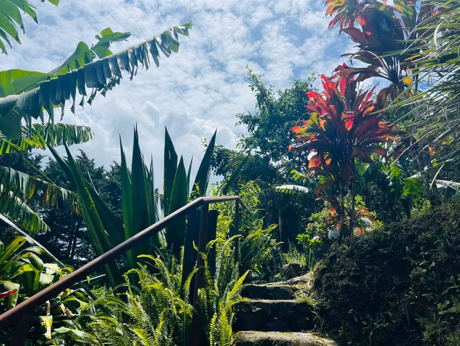 Venta de Hotel de montaña en Heredia
