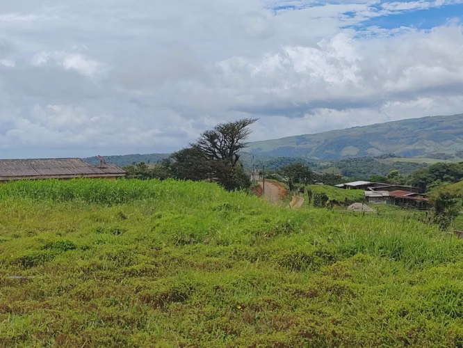 Venta de propiedad de cuatro lotes en Los Angeles-San Ramon-Alajuela - Imagen 3