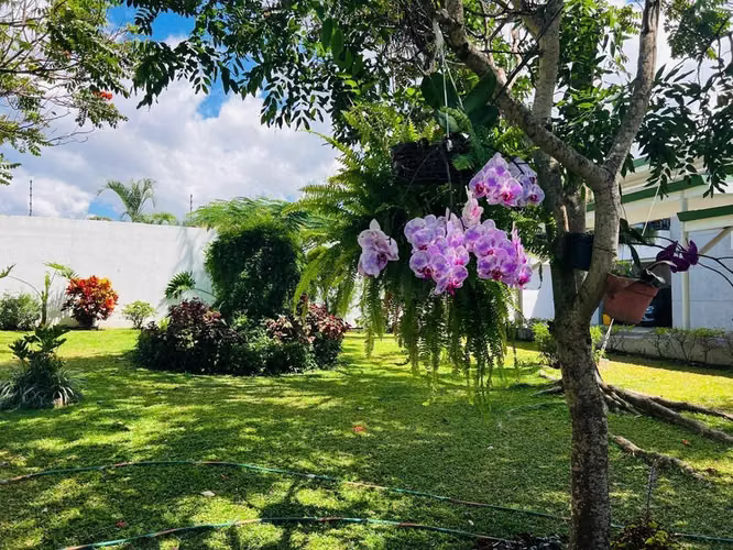 ESCAZU, SAN RAFAEL. VENTA DE ELEGANTE Y AMPLIA CASA MP26-1123