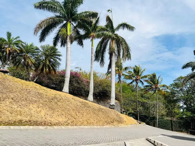 OPORTUNIDAD VENTA DE APARTAMENTO EN SANTA ANA PIEDADES MP-25-948