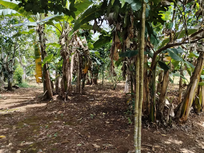 Venta de casa en Cajón, Pérez Zeledón