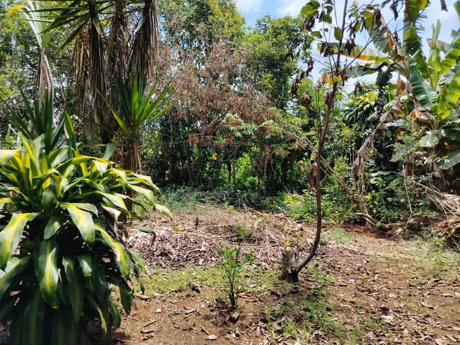 Venta de casa en Cajón, Pérez Zeledón