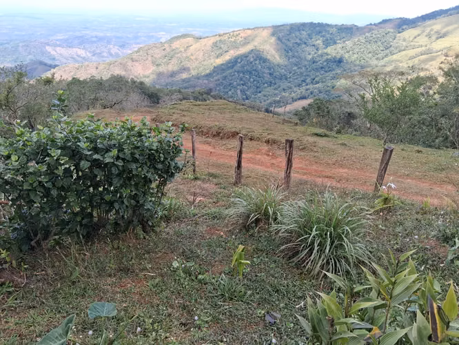 Finca en Venta en Carara, Turrubares – Naturaleza, Privacidad y Gran Potencial de Inversión