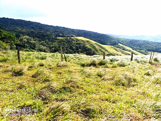 Venta Finca Guanacaste Bagaces ganadera p proyecto Eólico - Imagen 4
