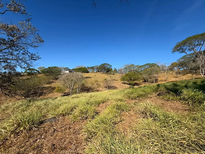 OPORTUNIDAD INDUSTRIAL EN LA CEIBA, OROTINA  Terreno de 20,000 m² en ubicación estratégica - Imagen 4