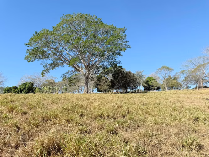 OPORTUNIDAD INDUSTRIAL EN LA CEIBA, OROTINA  Terreno de 20,000 m² en ubicación estratégica - Imagen 12