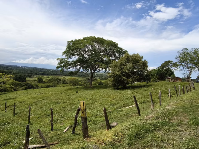 OPORTUNIDAD INDUSTRIAL EN LA CEIBA, OROTINA  Terreno de 20,000 m² en ubicación estratégica - Imagen 14