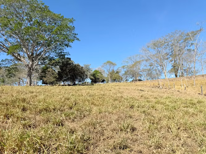 OPORTUNIDAD INDUSTRIAL EN LA CEIBA, OROTINA  Terreno de 20,000 m² en ubicación estratégica - Imagen 11