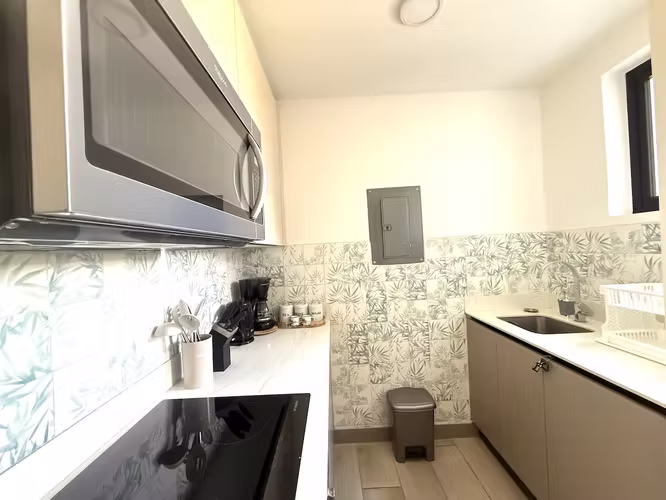 Furnished Apartment for sale in Sabana San Jose