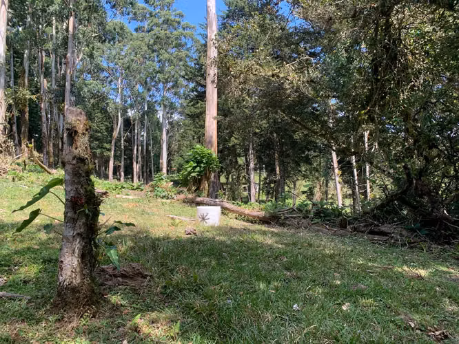 Se vende Terreno uso Mixto San Isidro Heredia - Imagen 16