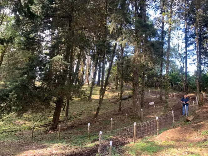 Se vende Terreno uso Mixto San Isidro Heredia - Imagen 4