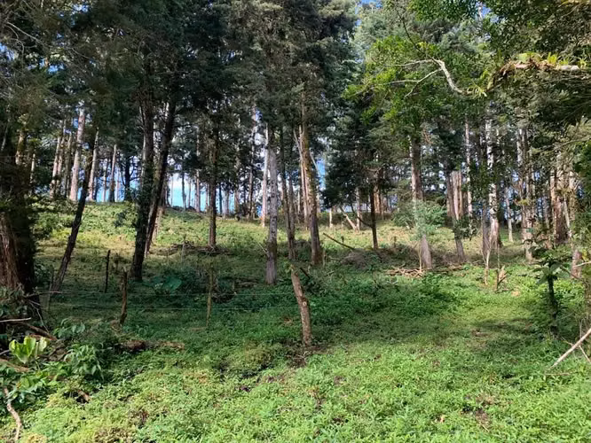 Se vende Terreno uso Mixto San Isidro Heredia - Imagen 2