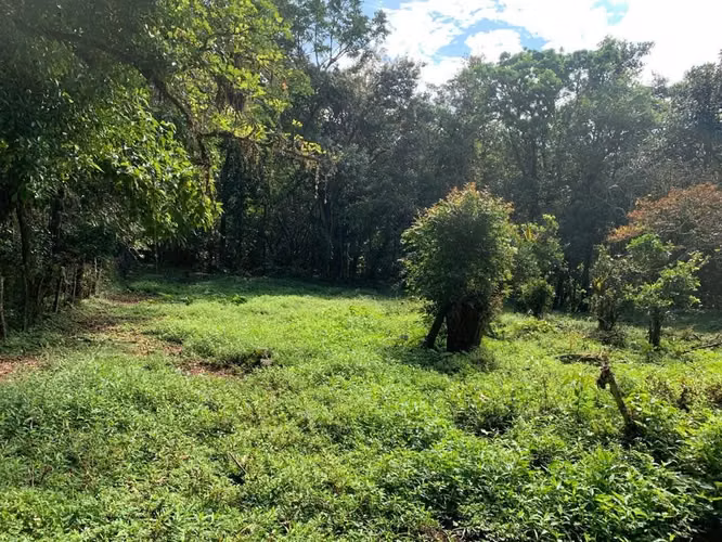 Se vende Terreno uso Mixto San Isidro Heredia - Imagen 10