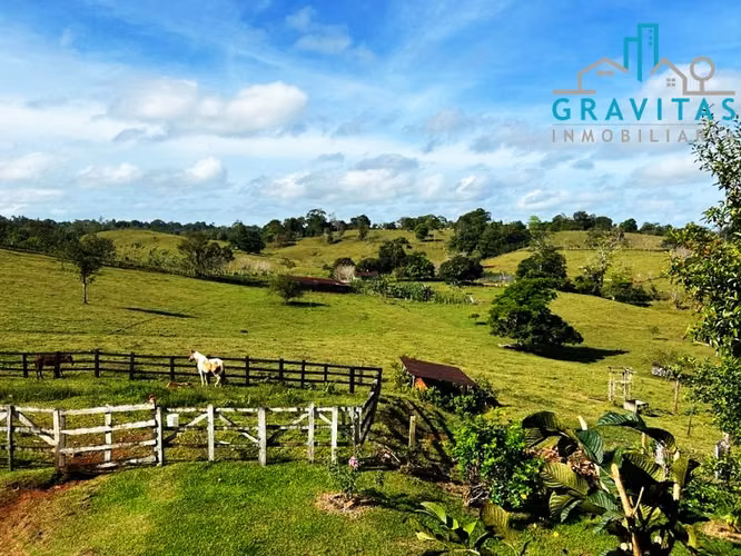 Finca en venta en San Carlos Coopevega Cutris HECHA ID 1584