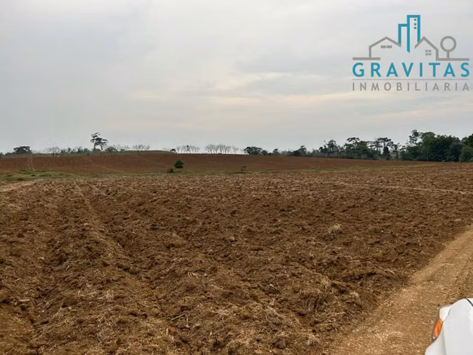 Finca en venta en San Carlos Coopevega Cutris HECHA ID 1584