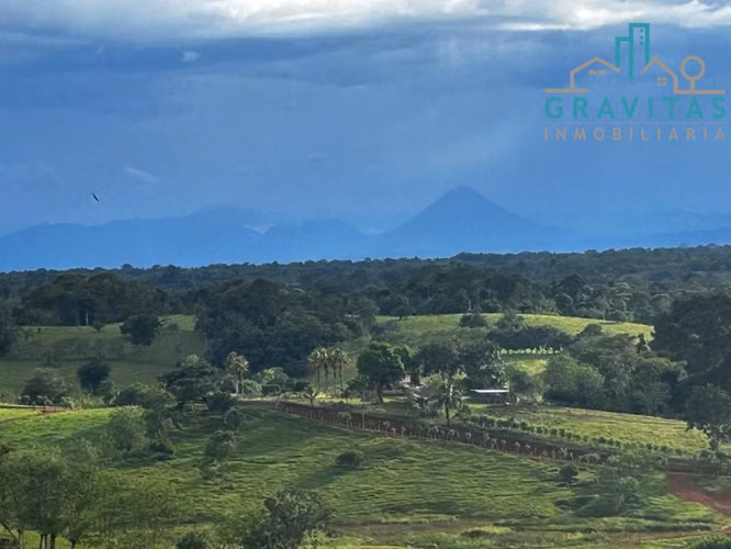 Finca en venta en San Carlos Coopevega Cutris HECHA ID 1584