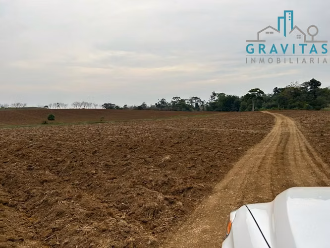 Finca en venta en San Carlos Coopevega Cutris HECHA ID 1584