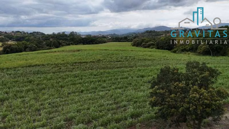 Venta de finca en Grecia centro, ideal para desarrollo 23 hectáreas ID 1961