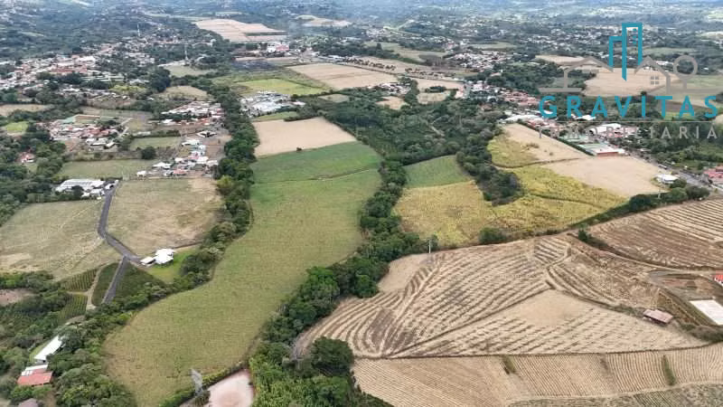 Venta de finca en Grecia centro, ideal para desarrollo 23 hectáreas ID 1961