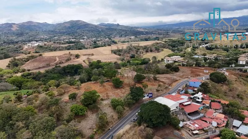 Venta de terreno comercial en Grecia, 2 hectáreas ID 1963 - Imagen 14