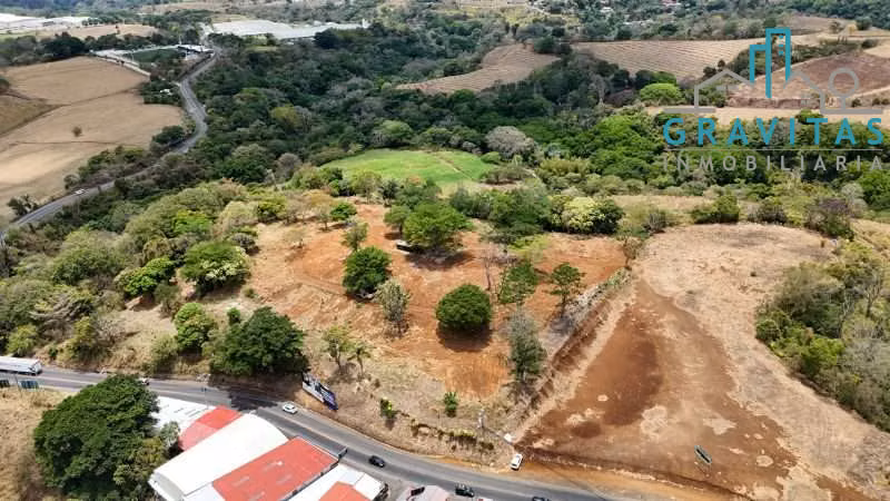 Venta de terreno comercial en Grecia, 2 hectáreas ID 1963 - Imagen 19