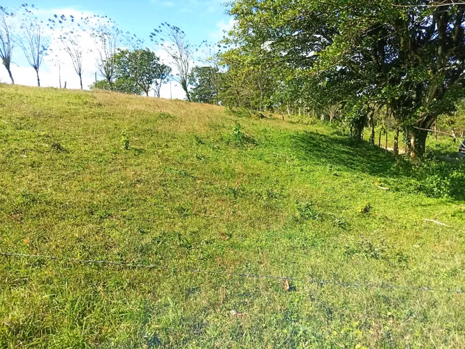 Venta lotes  Tilarán Nuevo Arenal  DESDE .