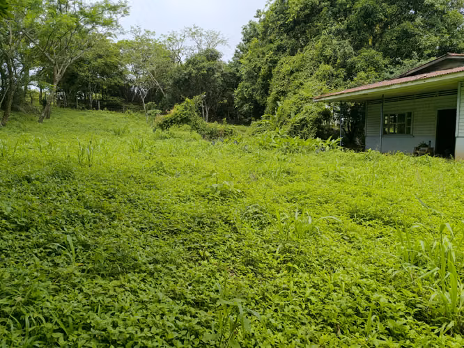 Venta de Finca en Naranjal de Nicoya - Escape a la tranquilidad
