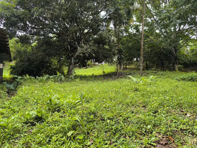 Venta de Finca en Naranjal de Nicoya - Escape a la tranquilidad