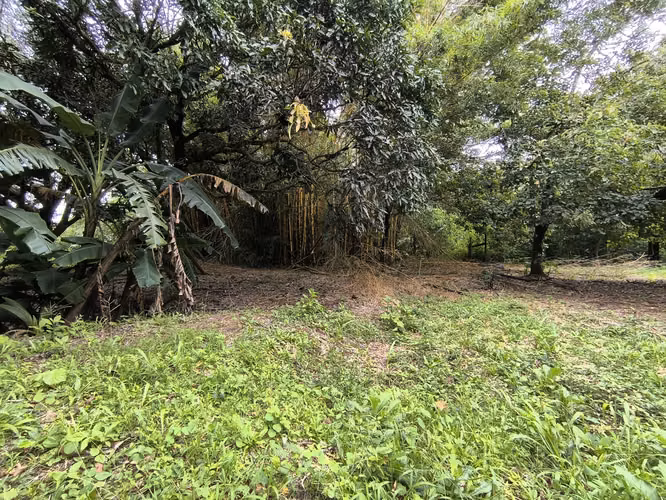 Venta de Finca en Naranjal de Nicoya - Escape a la tranquilidad