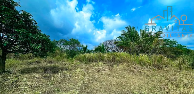 Finca en venta en Guácima, Alajuela (17,000 m2) ID 1754 - Imagen 6