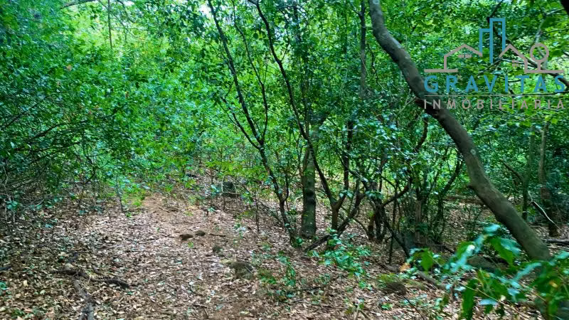 Finca en venta en Guácima, Alajuela (17,000 m2) ID 1754 - Imagen 16