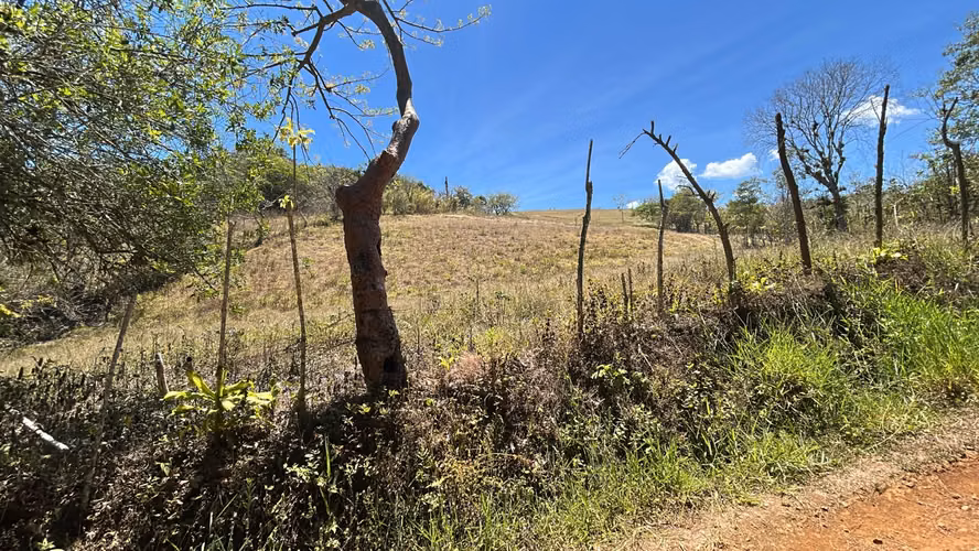 Venta de terreno Uso Mixto a 1 minuto de UCR, San Ramón, Alajuela - Imagen 2