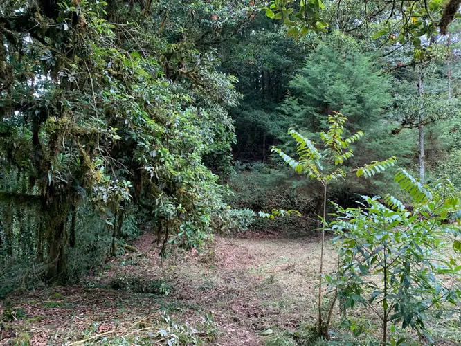 UNICO!! A ORILLAS DE RIO SAVEGRE ,SAN GERARDO DE DOTA C/ SERVS.  11,976 M2 - Imagen 15