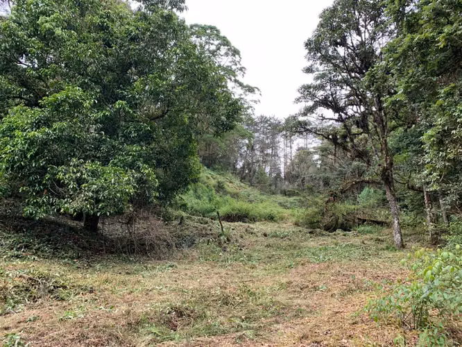 UNICO!! A ORILLAS DE RIO SAVEGRE ,SAN GERARDO DE DOTA C/ SERVS.  11,976 M2 - Imagen 17