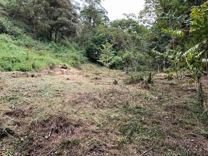 UNICO!! A ORILLAS DE RIO SAVEGRE ,SAN GERARDO DE DOTA C/ SERVS.  11,976 M2 - Imagen 14