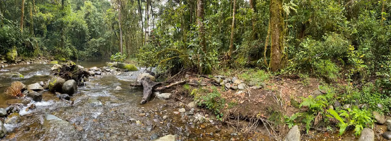 UNICO!! A ORILLAS DE RIO SAVEGRE ,SAN GERARDO DE DOTA C/ SERVS.  11,976 M2 - Imagen 8