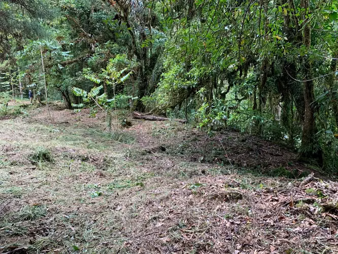 UNICO!! A ORILLAS DE RIO SAVEGRE ,SAN GERARDO DE DOTA C/ SERVS.  11,976 M2 - Imagen 18