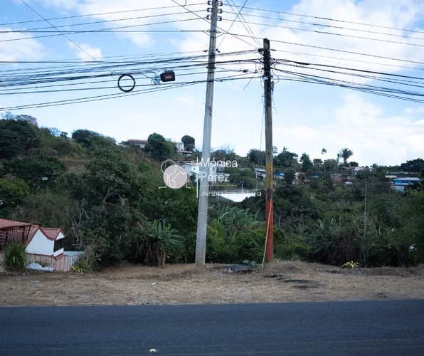 LOTES COMERCIALES Y RESIDENCIALES  SARCHÍ ALAJUELA