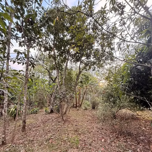 Venta de Amplio lote en Ciudad Colón a solo 5 minutos del centro - Imagen 16