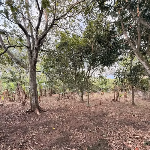 Venta de Amplio lote en Ciudad Colón a solo 5 minutos del centro - Imagen 3
