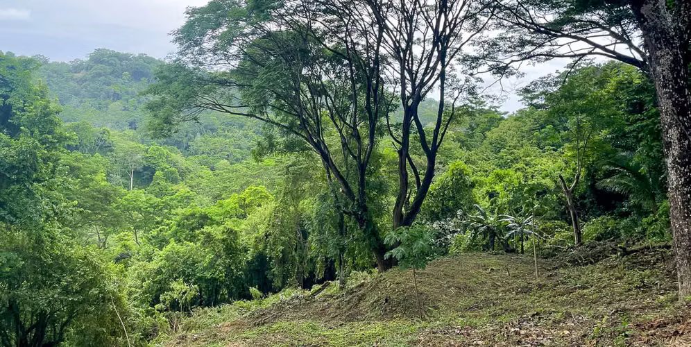 Propiedad con Vista al Valle