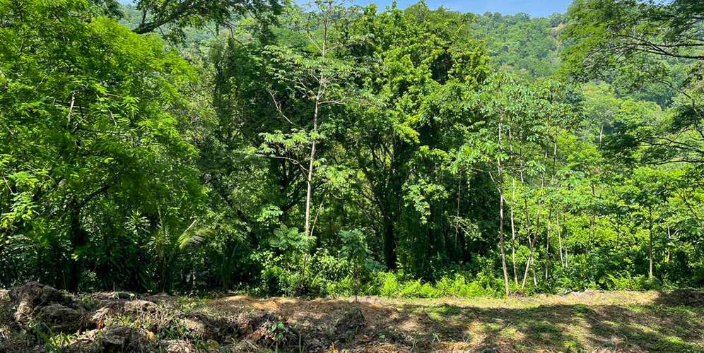 Lote en Santa Teresa Santiago - Vista al valle - Cerca Playa Hermosa